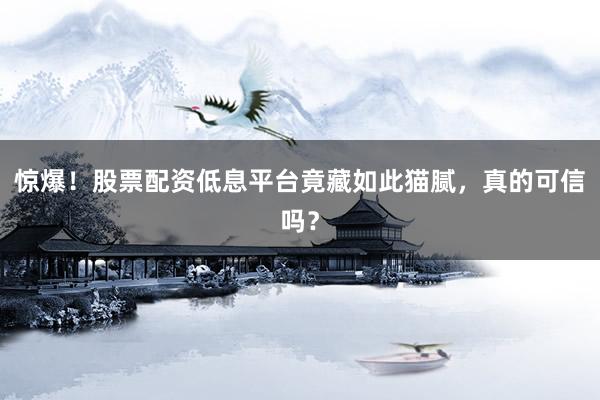惊爆!股票配资低息平台竟藏如此猫腻,真的可信吗?