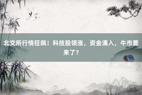 北交所行情狂飙！科技股领涨，资金涌入，牛市要来了？