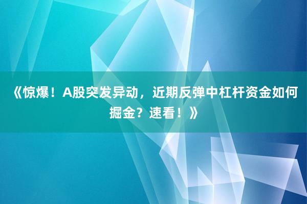 《惊爆！A股突发异动，近期反弹中杠杆资金如何掘金？速看！》