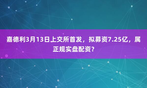 嘉德利3月13日上交所首发，拟募资7.25亿，属正规实盘配资？