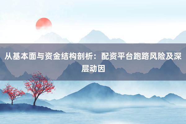 从基本面与资金结构剖析：配资平台跑路风险及深层动因