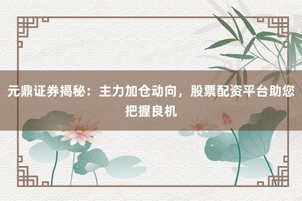 元鼎证券揭秘：主力加仓动向，股票配资平台助您把握良机