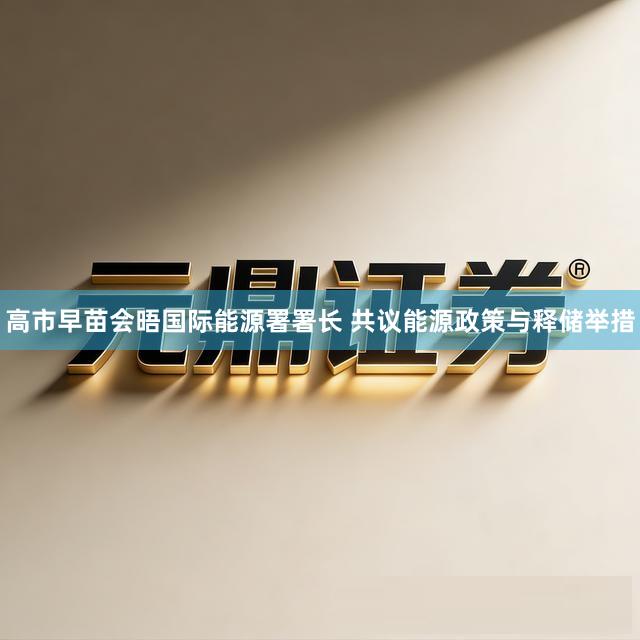 高市早苗会晤国际能源署署长 共议能源政策与释储举措