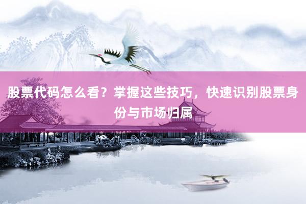 股票代码怎么看？掌握这些技巧，快速识别股票身份与市场归属