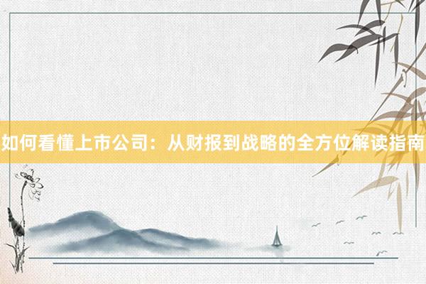如何看懂上市公司：从财报到战略的全方位解读指南