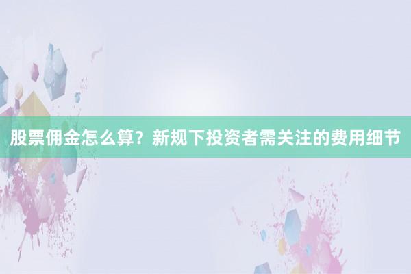 股票佣金怎么算？新规下投资者需关注的费用细节