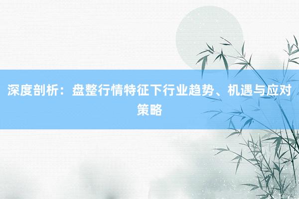 深度剖析：盘整行情特征下行业趋势、机遇与应对策略