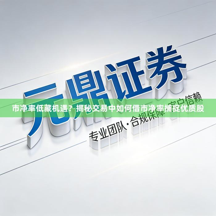 市净率低藏机遇?揭秘交易中如何借市净率捕捉优质股