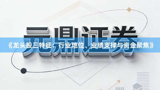 《龙头股三特征：行业地位、业绩支撑与资金聚焦》