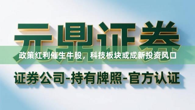 政策红利催生牛股，科技板块或成新投资风口