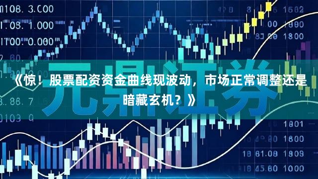 《惊！股票配资资金曲线现波动，市场正常调整还是暗藏玄机？》