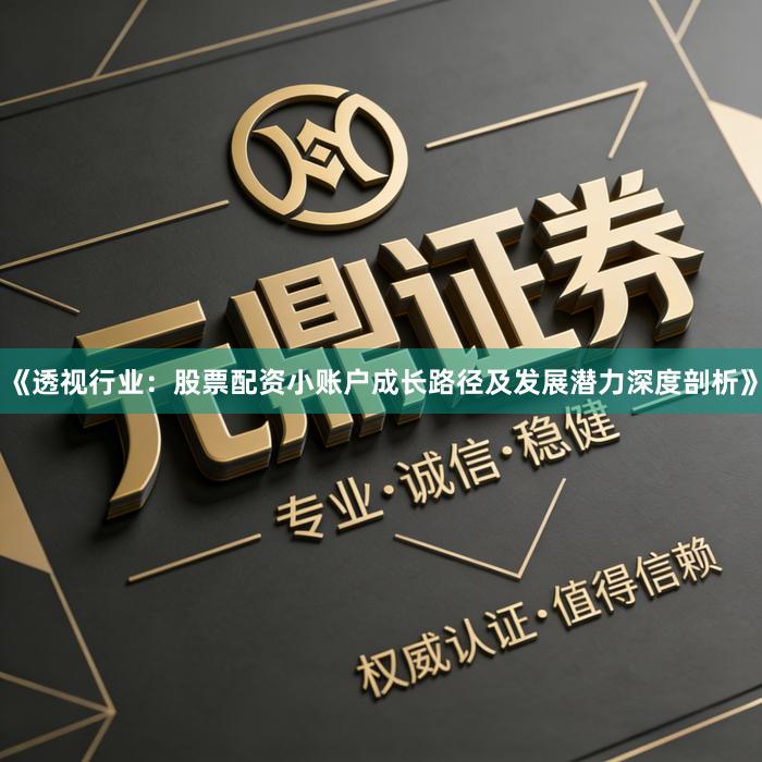 《透视行业:股票配资小账户成长路径及发展潜力深度剖析》