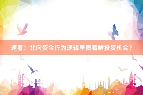 速看！北向资金行为逻辑里藏着啥投资机会？