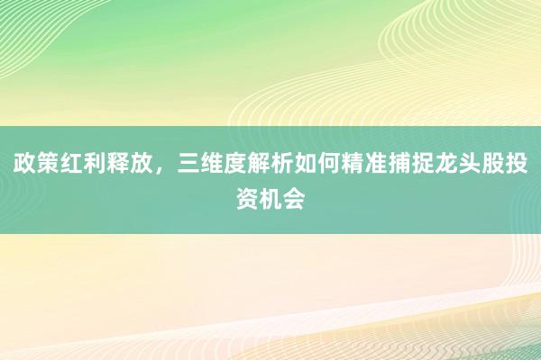 政策红利释放，三维度解析如何精准捕捉龙头股投资机会