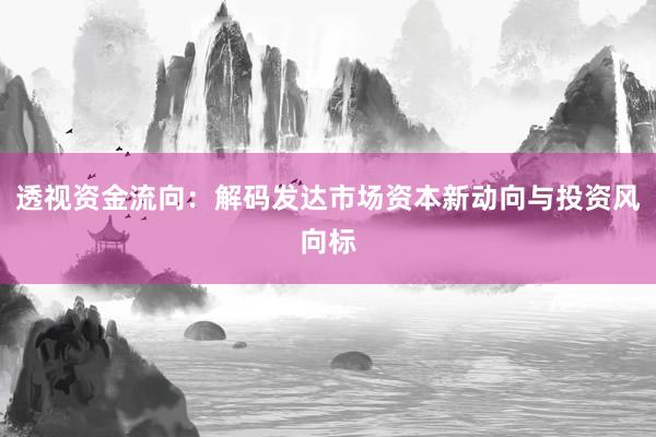透视资金流向:解码发达市场资本新动向与投资风向标