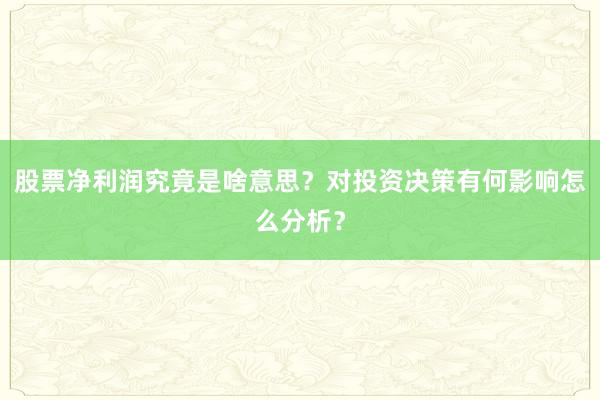 股票净利润究竟是啥意思？对投资决策有何影响怎么分析？